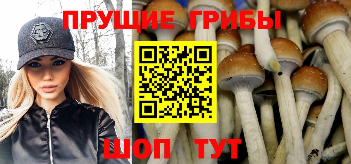 Галлюциногенные грибы мухоморы  купить наркотики сайты  Кировск  Вход с VPN 