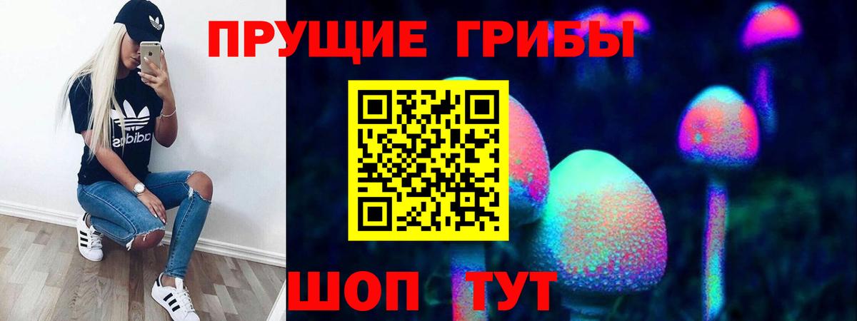 Галлюциногенные грибы мухоморы Кировск